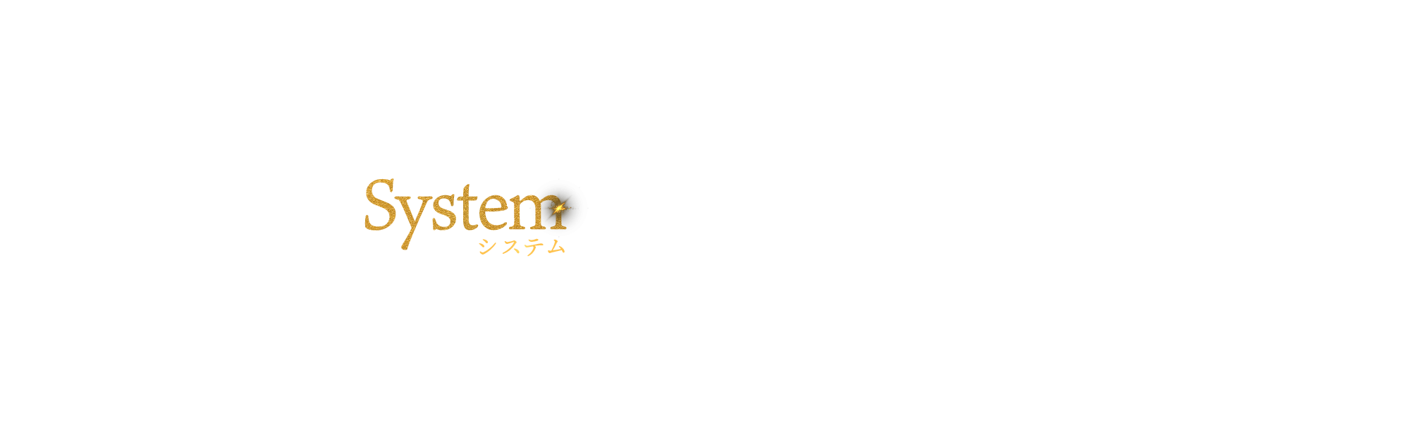 システム